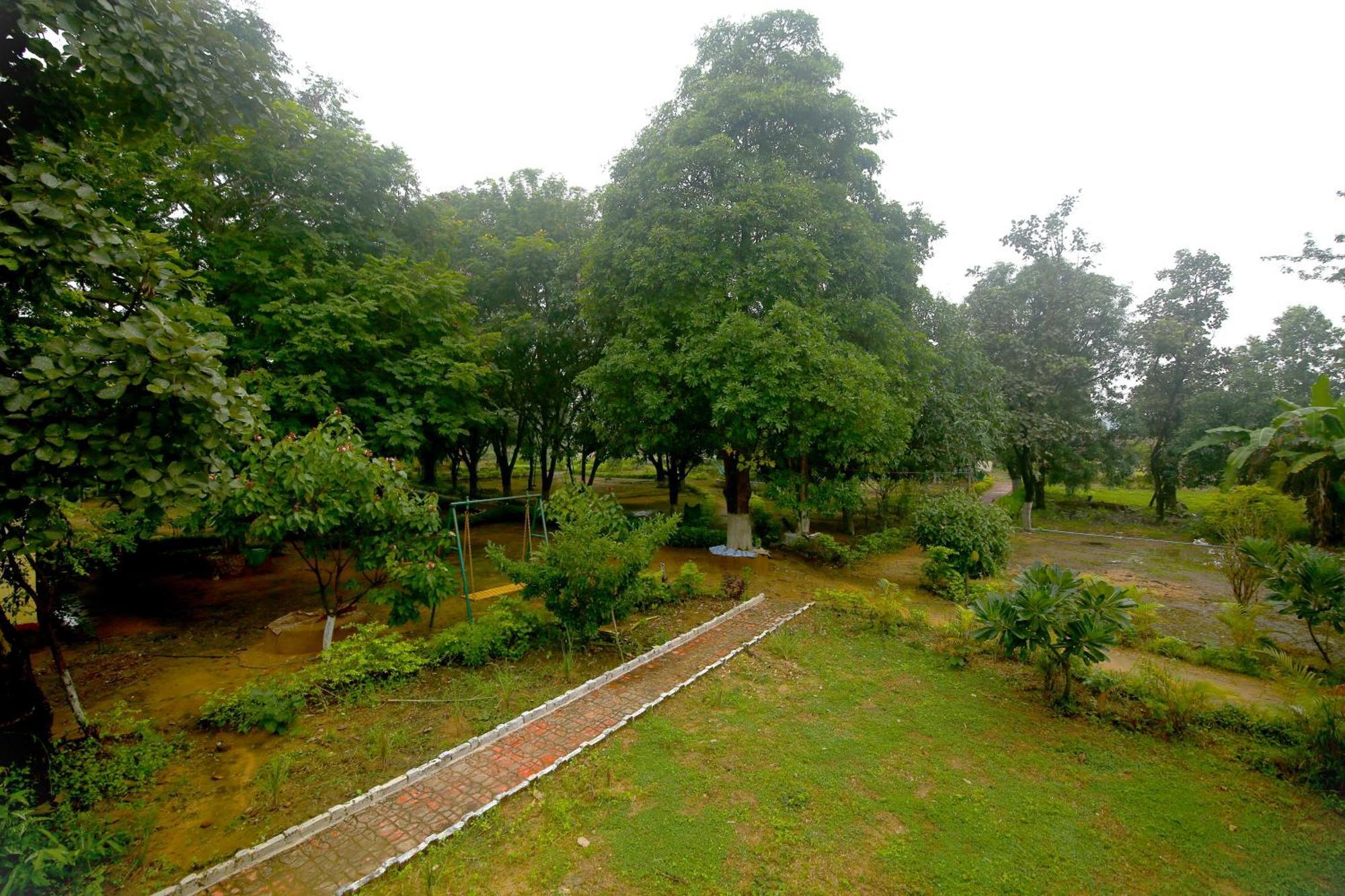 Tribal Wood Resort Dhanwar Luaran gambar